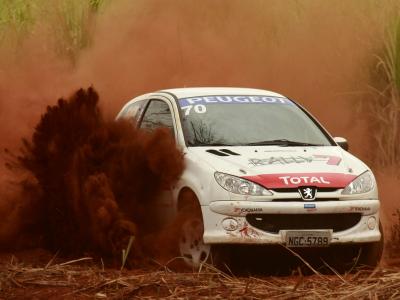 Pneu furado tira pódio de cascavelense na Copa Peugeot